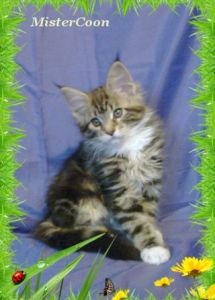 Benni