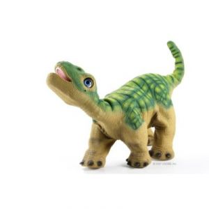    Pleo-   