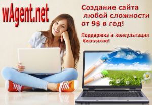 wAgent.net    